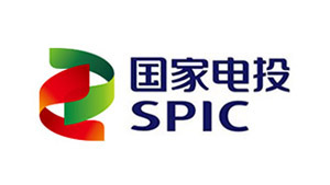 國(guó)家電投